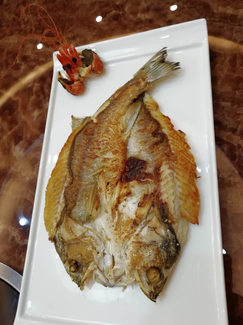 開(kāi)背海鱸魚(yú)活魚(yú)加工供餐飲行業(yè) 肉緊嫩滑 廠家直批穩(wěn)定供應(yīng)