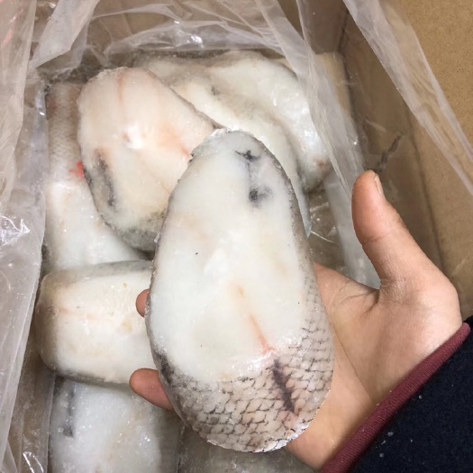 成都冷冻鳕鱼片 鳕鱼片