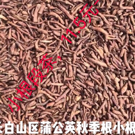 辉南县茶根  小根茶。量大批发超优惠