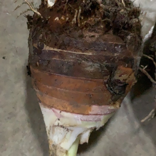 闽清县芋头粉