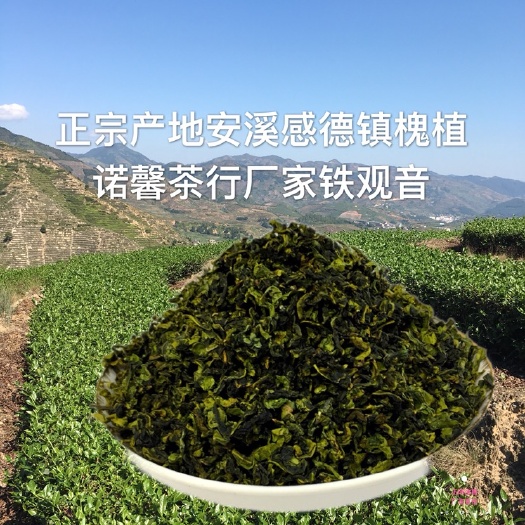 安溪县铁观音  安溪感德镇槐植正宗产地秋茶正味浓香韵味优质盒装散装