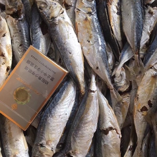 云霄县巴浪鱼干 巴朗鱼干