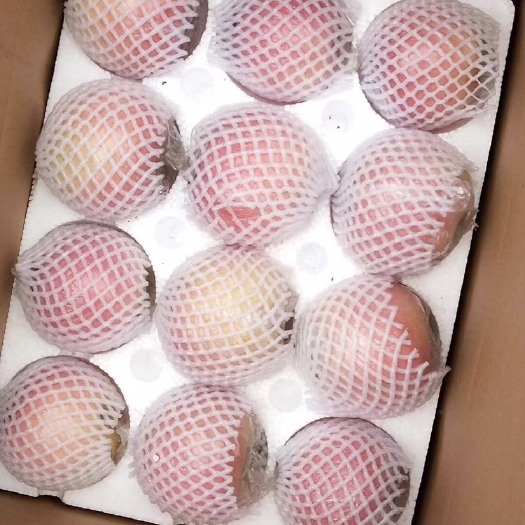 红富士苹果 山西新鲜红富士，特甜 汁多 果园直采，农户直销