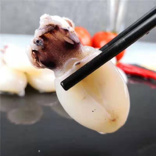 佛山冷冻墨鱼 墨鱼仔
