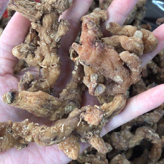 连平县 甜统黄精三蒸三晒干货