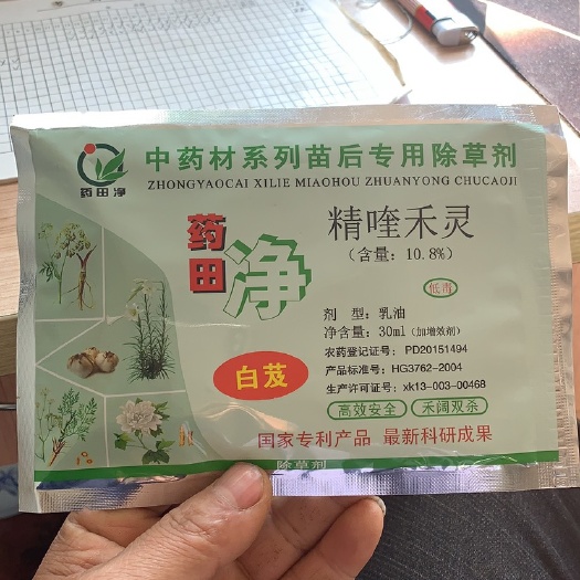 安宁市 三叉白芨苗