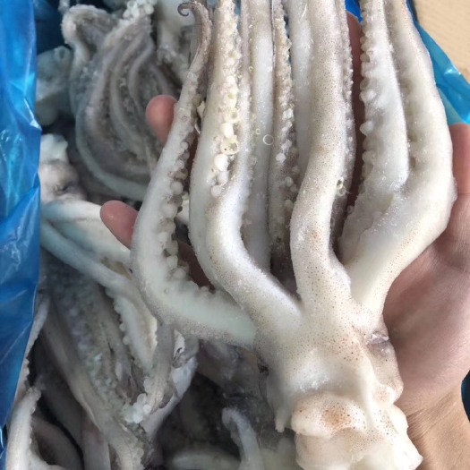金堂县 鱿鱼须机洗头
