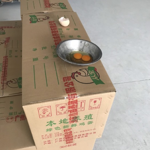 广州普通鸡蛋  从化本地鸡蛋