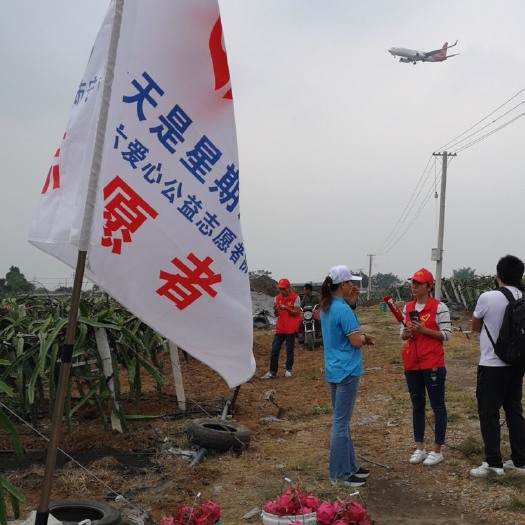 南宁 网络营销时代，都是战略合作伙伴，火龙果电商平台也要如此