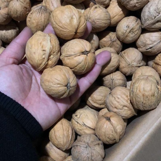 阿克苏市纸皮核桃 30mm以上 去皮 袋装