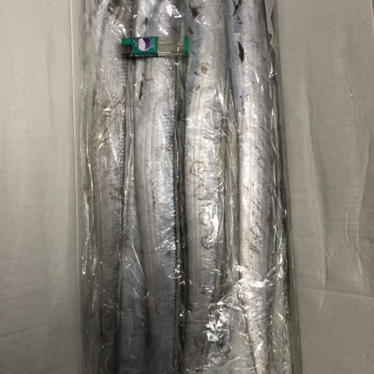 开原市舟山带鱼 精品吊带一件7斤12条一条半斤以上