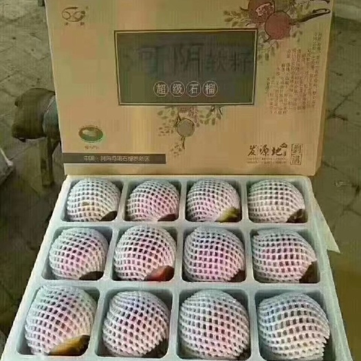 荥阳市 整箱12个礼盒装突尼斯河阴软籽石榴基地直发一件代发包邮