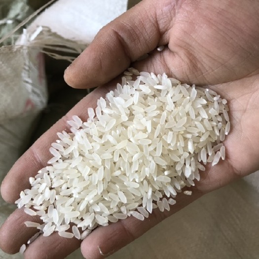 泰来县 黑龙江泰来县嫩江水灌溉长粒香型大米 新米绝不参陈粮