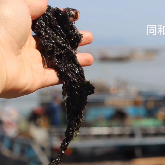 霞浦县 霞浦头水紫菜，支持微商一件代发！