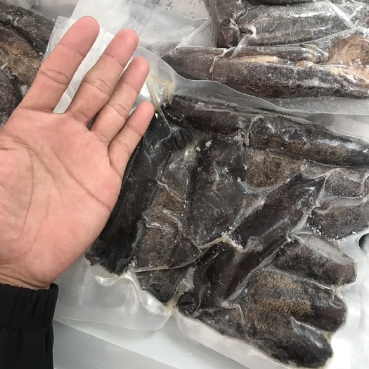 湛江 湛江硇洲黑海参