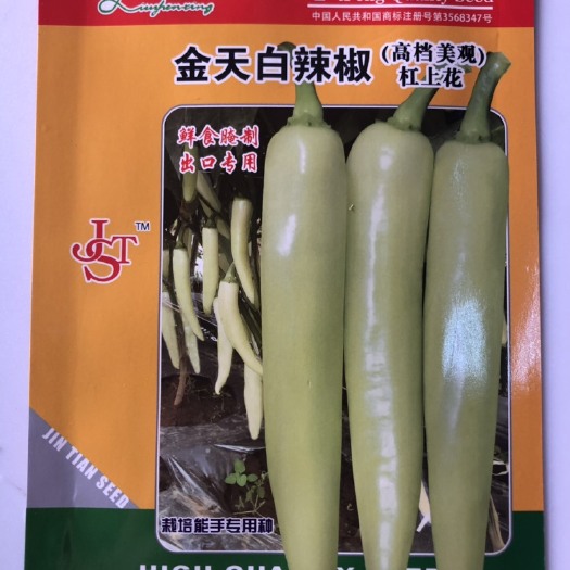 新一代辣椒种子  金天白辣椒 白皮牛角椒 泡椒种子 产量较好