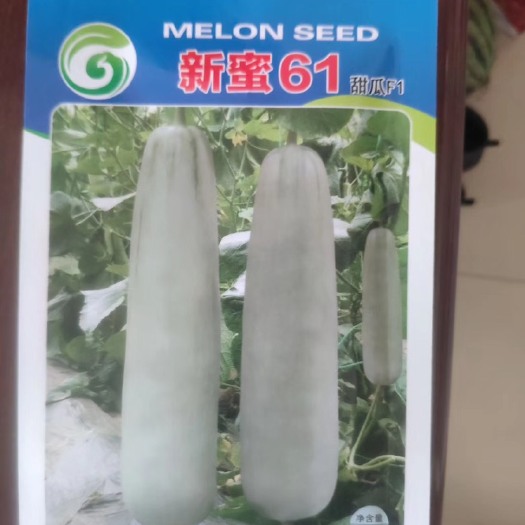青州市羊角蜜甜瓜种子 杂交种 ≥99%