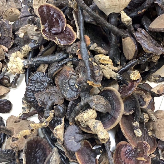 东兴市 黑灵芝干货