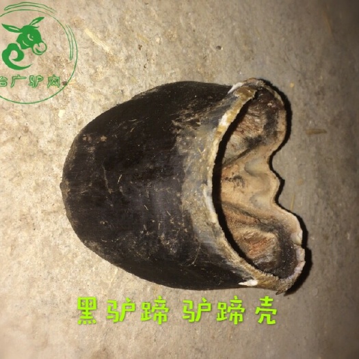 龙口市驴副产品  雕刻原料驴蹄子壳黑驴蹄子雕刻神雕阁艺术完整驴蹄壳