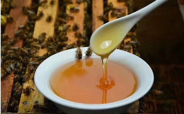 桂林土蜂蜜 农家蜜