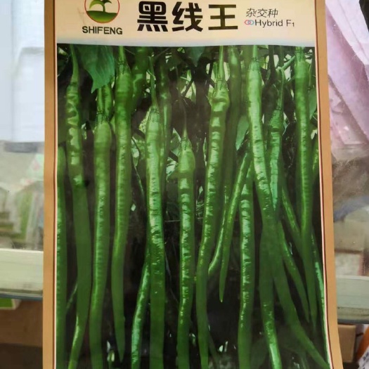 莒南县线椒种子 黑线中的王者
