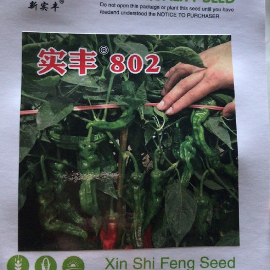 莒南县 皱皮辣辣椒
