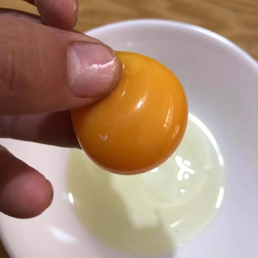 夏津县 纯粮食散养土鸡蛋