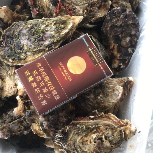 诏安县福建生蚝 福建诏安湾生蚝，个头，肥度，质量包你满意，无中间商