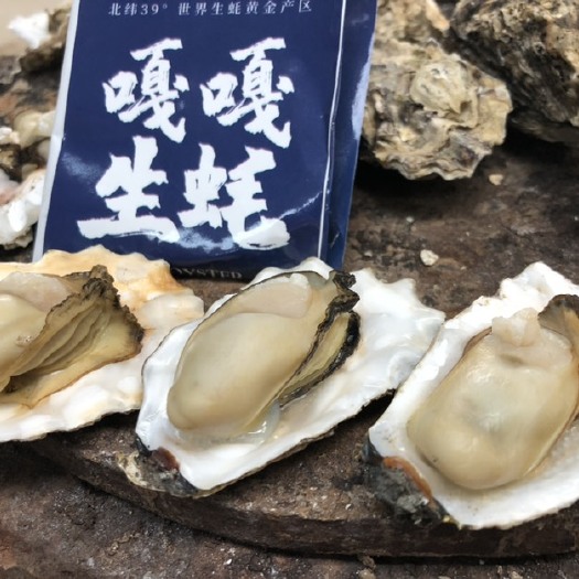 庄河市大连生蚝 生蚝 嘎嘎小镇 品牌生蚝