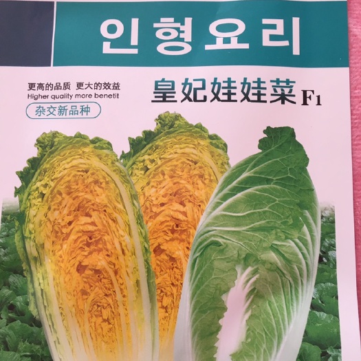 郑州娃娃菜种子 皇妃娃娃菜白菜种子