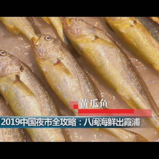 霞浦县 霞浦小黄鱼
