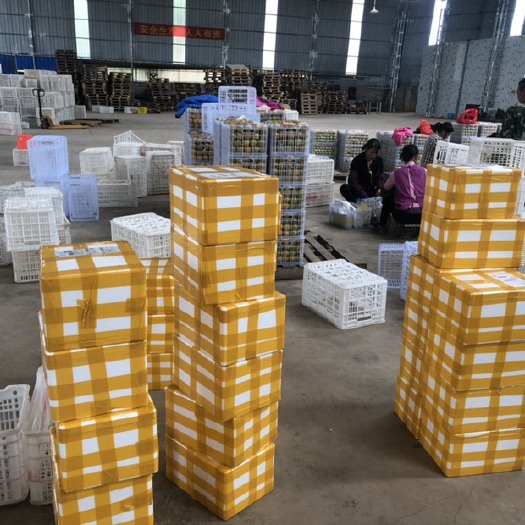 南宁皇帝柑 代发接单，量大从优