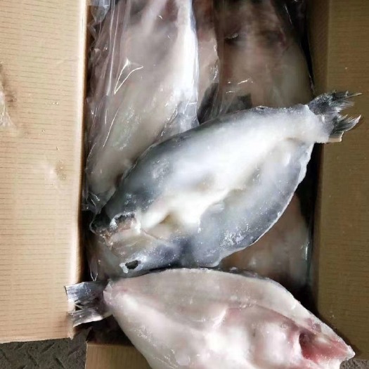 沈阳 开背巴沙鱼