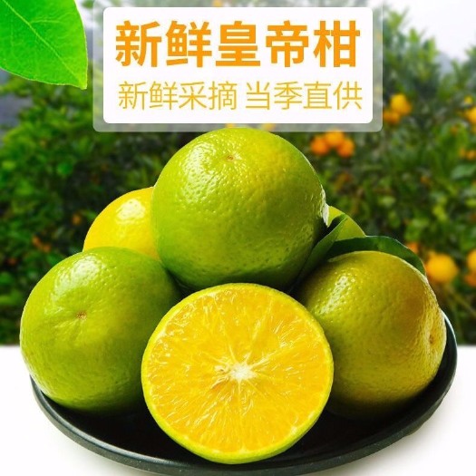 广西皇帝柑贡柑新鲜水果橘子蜜桔柑橘沃柑桔子2/5/10斤批发