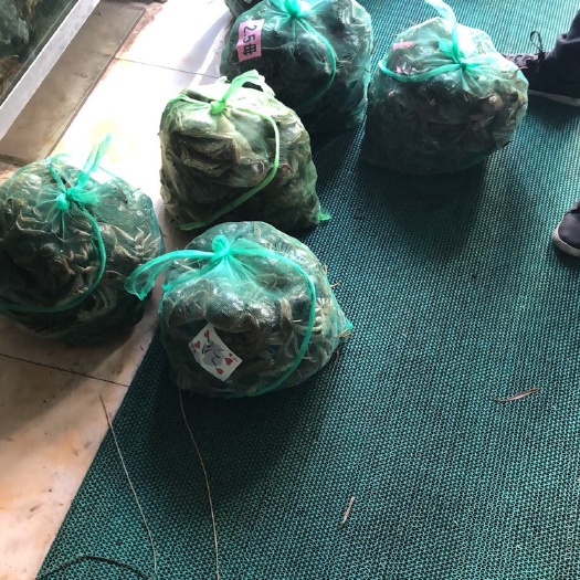 九江高淳大闸蟹 江苏高淳品质螃蟹批发