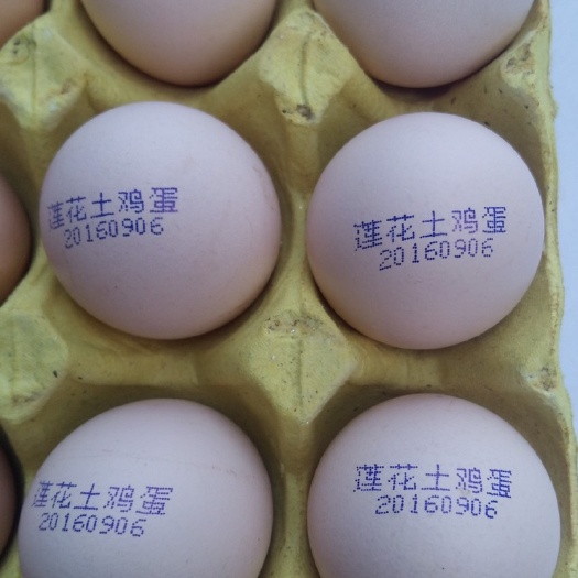 成都 四川鸡蛋喷码机