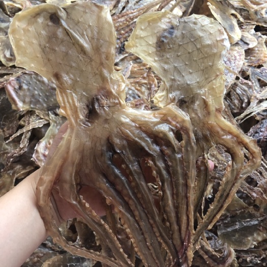 阳江 淡干足干章鱼干八爪鱼干，下奶,养气,小孩止虚汗佳品