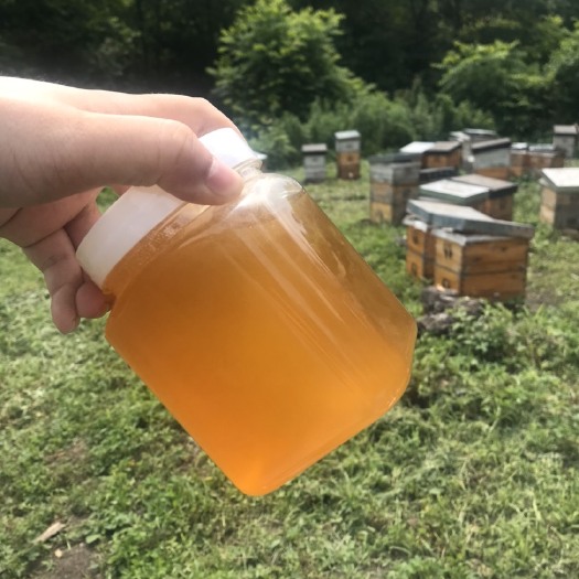 东北黑蜂椴树蜜原蜜41.2度天然自家养蜂
