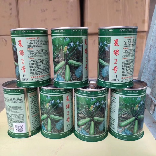 寿光市绿皮西葫芦种子  西葫芦种子