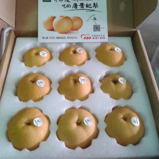 济南皇冠梨 400-450g 70mm以上