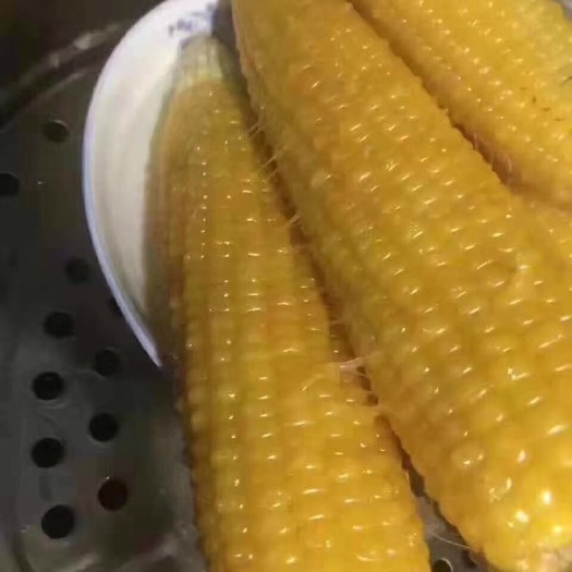 吉林市速冻糯玉米 吉林甜糯玉米好吃不贵