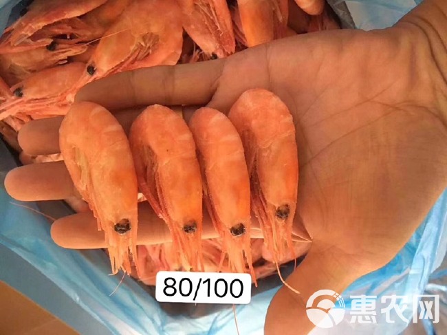 北极虾70/90 80/100头籽一手货源今年新鲜货顺丰空运