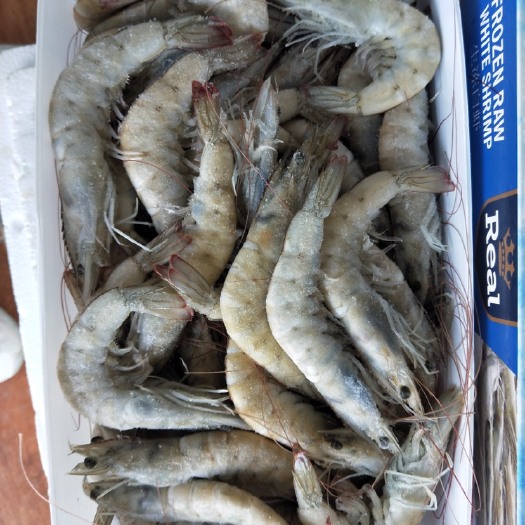深圳冻虾 厄瓜多白虾40/50 盐冻自带鲜甜咸，最高品质