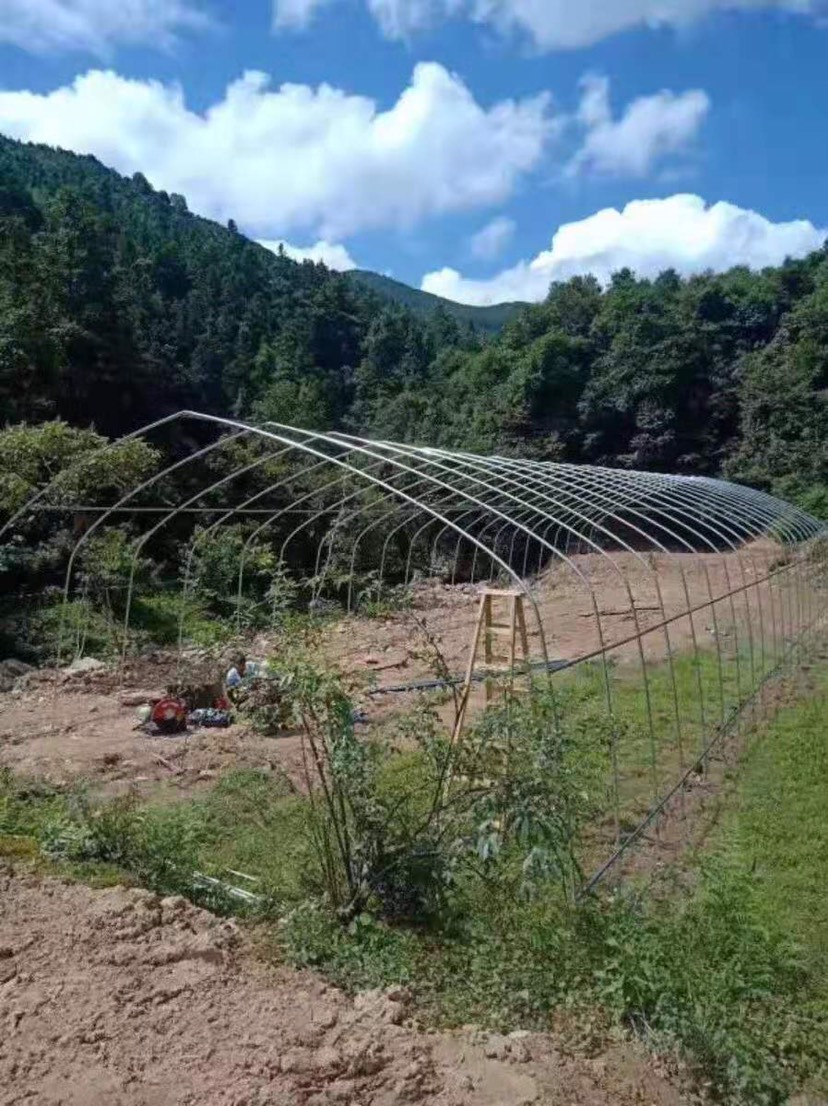  蔬菜大棚热镀锌钢管包用10年不生锈抗风抗雪保温隔热产量高