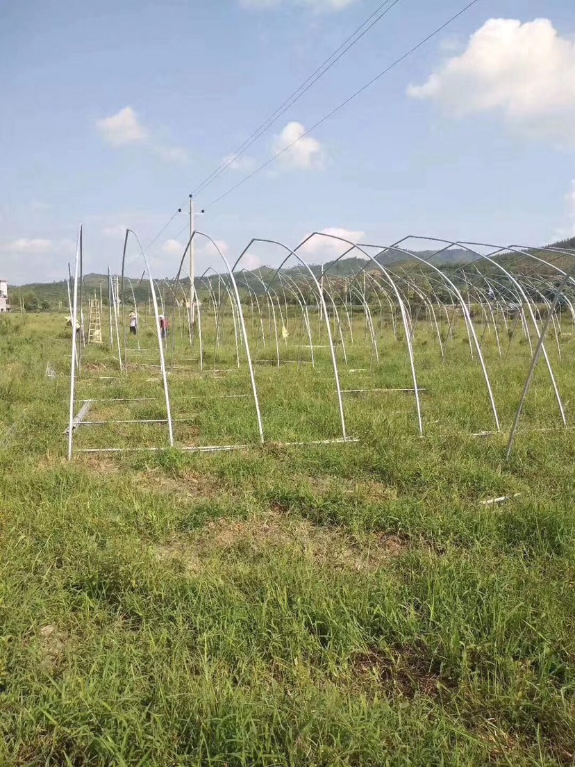  蔬菜大棚热镀锌钢管包用10年不生锈抗风抗雪保温隔热产量高