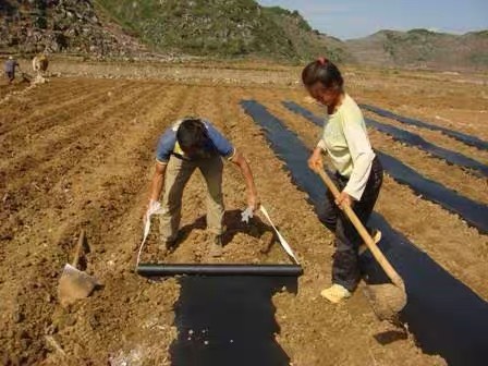 除草地膜 黑塑料 果树膜 农用地膜