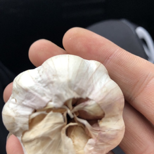 贵阳蒜米 多瓣蒜 混级统货