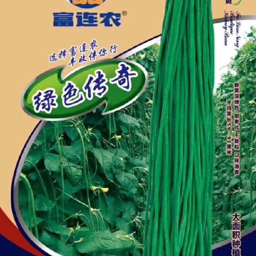 廊坊架豆角 70cm以上