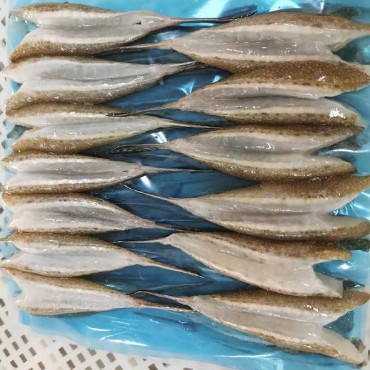 东港市冷冻海鱼 马掌丁-统货-500g/袋—饭店