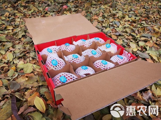 新疆阿克苏冰糖心苹果，你的果钻石大礼盒包装，支持一件代发！